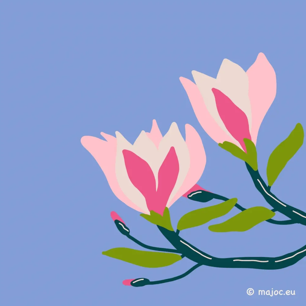 Elegant magnolia flower botanical illustration in pink and white for children's room decor